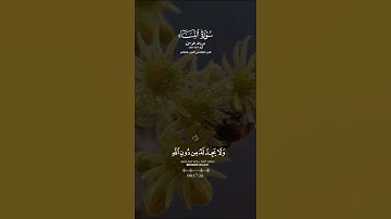 تلاوه خاشعه #القران_الكريم
