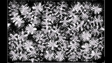 Biomorphogenesis : Stigmergic Patterns 3 - Impressions