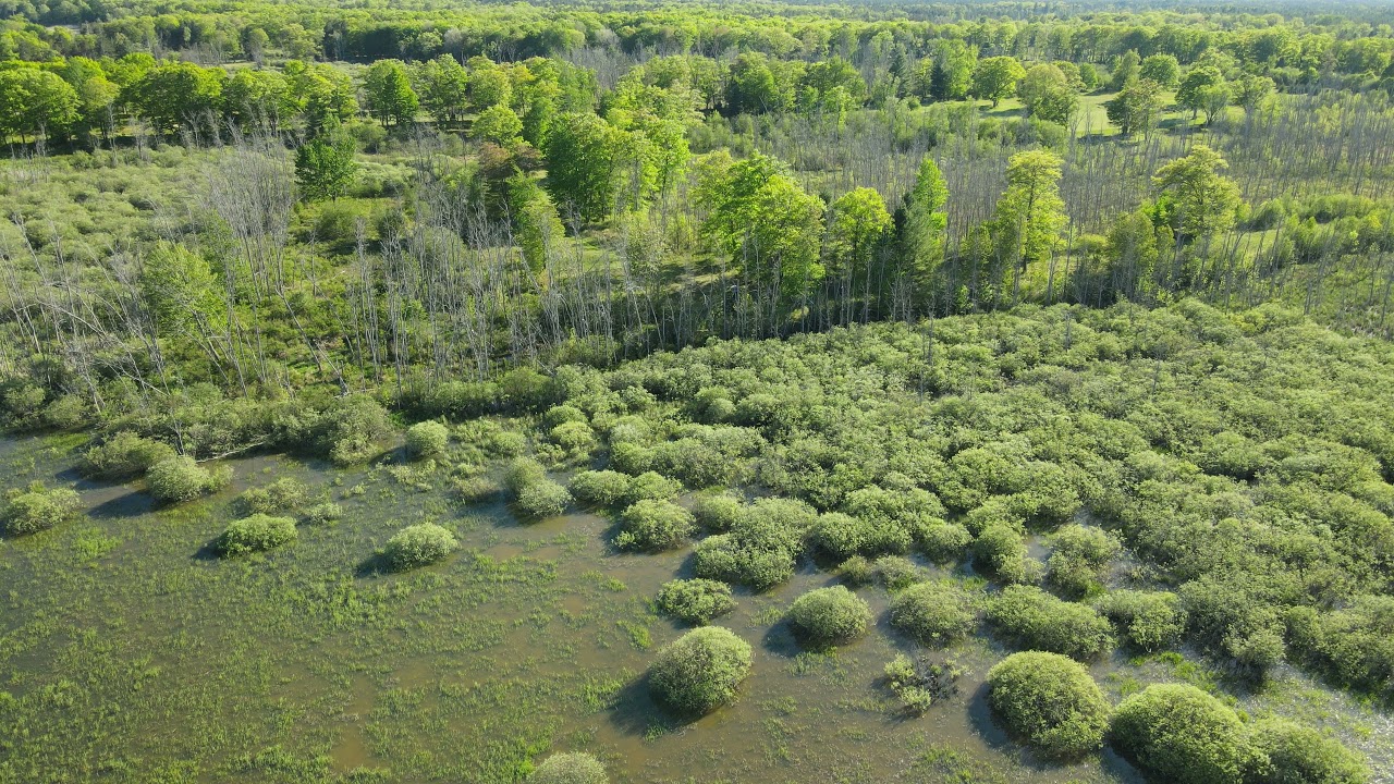 Tawas/Oscoda KOA - 5-29-2021 - 1