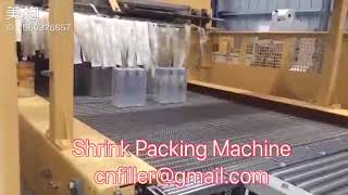 Two Way PE Shrink Packing Machine screenshot 4