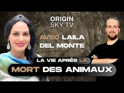 La vie après la mort des animaux : ce que personne n’ose dire Avec Laila Del Monte