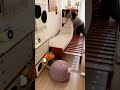 もう長さで迷わない！伸縮自在な魔法のソファ🛋️一人暮らしの生活にピッタリ！ #tiaro #homedecor #home #ティアロ #sofabed #sofa #interiordesign