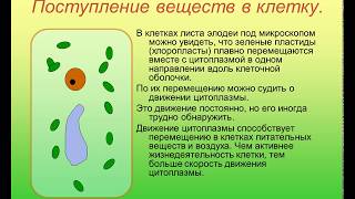 Презентация Презентация