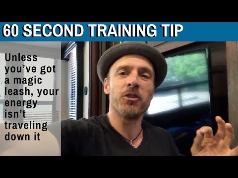 60 Second Training Tip Unless You Ve Got A Magic Leash Your Energy Isn T Traveling Down It 