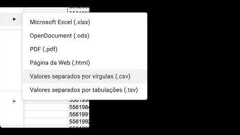 Tutorial CRM ZURY | Disparo em Massa: Subindo lista de contatos CSV