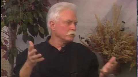 The Excellence of the Common Law -- with Brent All...