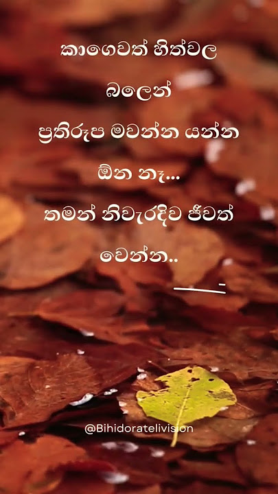 #bihidoratv #srilanka #lanka #srilankan #ශ්රීලංකා #ශ්රීලංකාව #slshorts #shorts #short #dailyquotes
