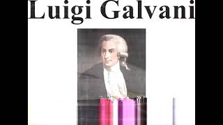 GALVANIzed by blackout happening just when Galvani is about to twitch frog's leg- Dj Balli Amphibian