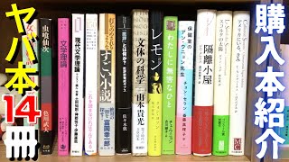 【購入】本屋さんでヤバイ単行本14冊を買ってきました！海外文学とか韓国文学とか文学理論とか昭和文学です！アディーチェ、佐々木敦、浅田彰、山本貴光、色川武大、佐藤春夫など！【純文学・オススメ小説紹介】