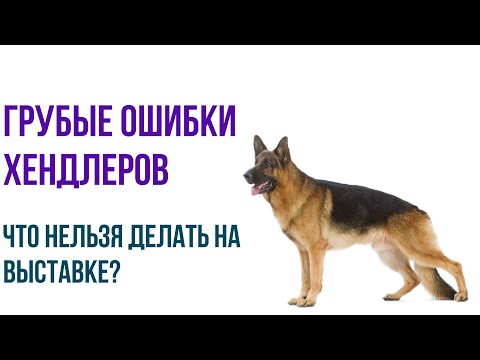 Топ грубых ошибок 80 хендлеров на выставке. Не совершайте их