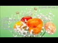 김수희 추억 외 5곡 Kpop 韓國歌謠 김수희 추억 외 5곡 Kpop 韓國歌謠