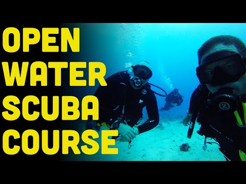 Open Water Scuba Diver Course: How To Learn To Dive