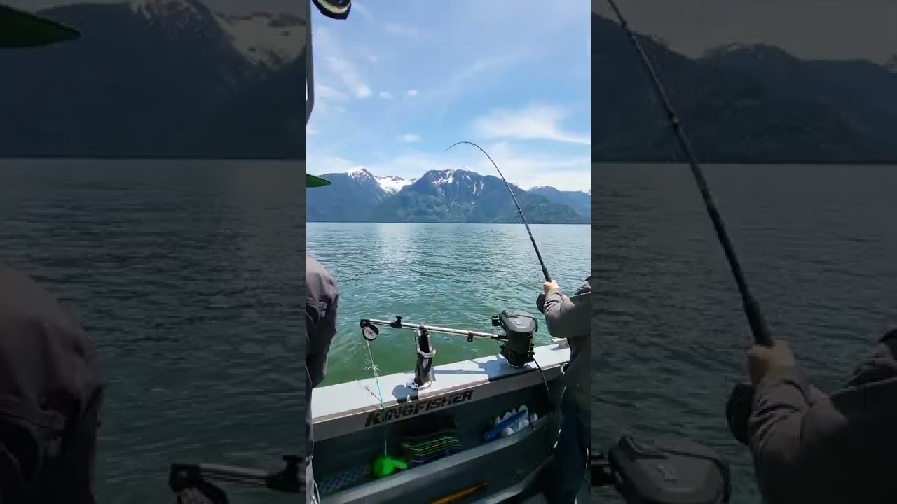 Tyee up Bute Inlet