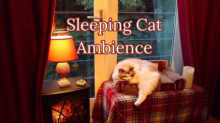 Watch the video about Ragdoll cat sleeping & purring ambience with fire crackling