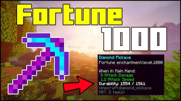 How To Get A Fortune 1,000 Pickaxe In Minecraft 1.16.5! (2024)