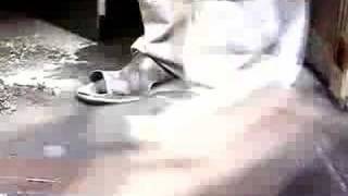 Idfa 2006 Daily Kossakovsky Relay - Stof By Elizabeth