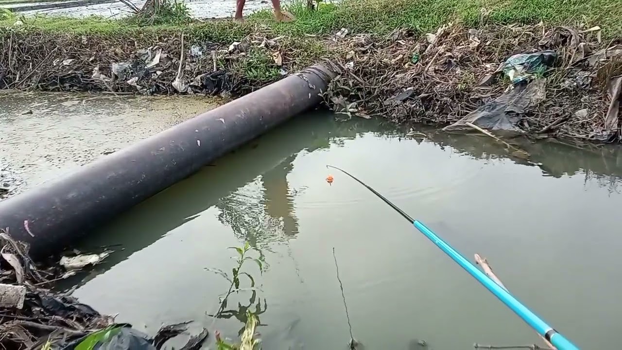 TAK ADA POINT DI DAPAT TEST SPOT