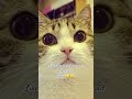 #comedy #funny #copy#fyb#vidios#like100করে দাও command and share
