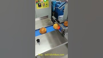 CHLB bread  packing machine