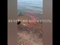 В Мариуполе море на Центральном пляже залили краской