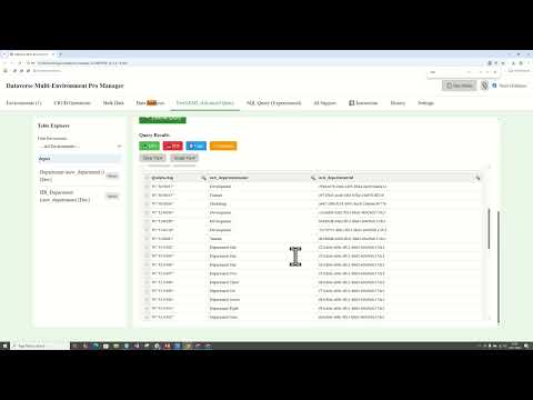 Microsoft Dynamics 365  Dataverse Multi-Environment Pro Manager - MDPM - Fetch XML TAB 3