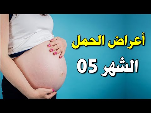 فيديو: البيع بالتجزئة والجملة. بالجملة. تجار التجزئة