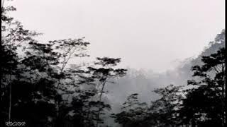 STORY WA ADA UNTUKMU