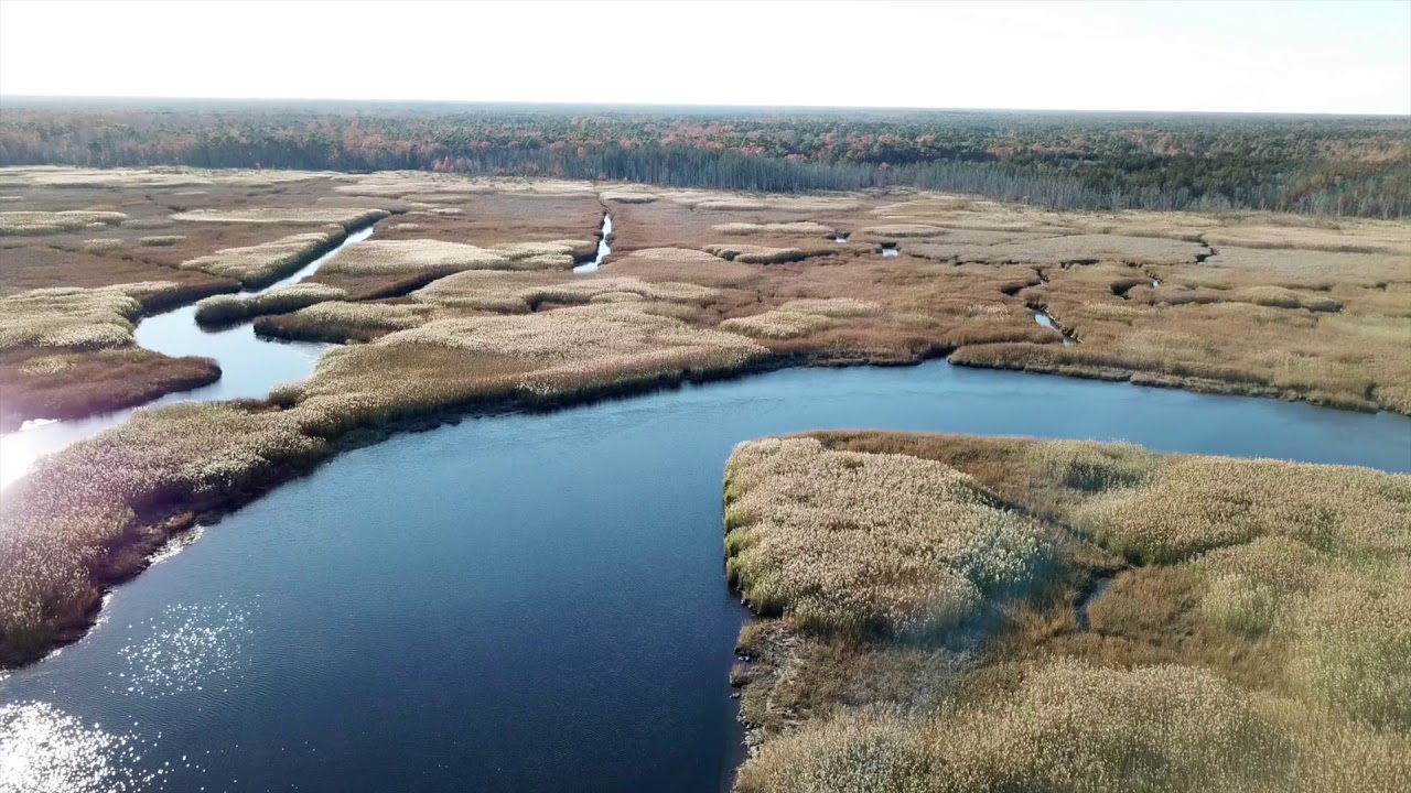 WaterWays Mays Landing Egg Harbor River YouTube