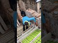 Build the stairs carefully #constructionwork #construction #venetianplaster #plasterwork