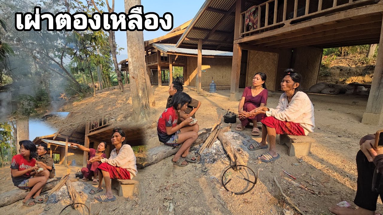 ขนาดมีคนมาช่วยเหลือยังทำตัวยิ่งเกินไปสาวติ๊กและนางจอม คนป่า ตองเหลึอง ຄົນປ່າ ຕອງເຫຼືອງ bn saolao 