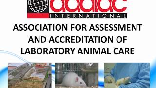 IPharm Animal Research Facility