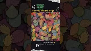Find the Frog in 15 Seconds! 👀 Only Genius Can Spot It 🧠 #puzzle  #shorts #find