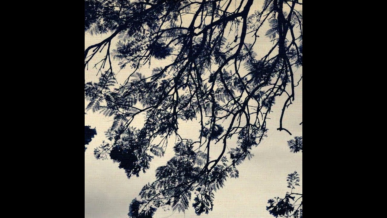 Leon & Bartek - WFD4 (2022)