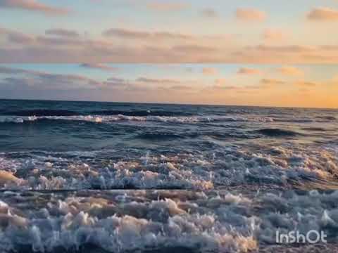 رايحين على فين رامي جمال