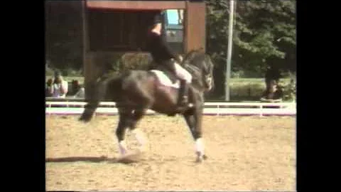 Jennie Loriston-Clarke riding Dutch Courage 1985