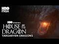 House Targaryen & Their Dragons | House of the Dragon | Max