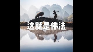 201704 这就是佛法22490