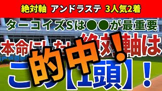 ターコイズステークス2021【絶対軸1頭】公開！決着時計と逃げ馬の予測から推奨馬を決定コース形態に最も適した1頭はアノ馬です!