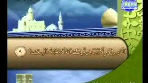 سورة ال عمران 1__14الشيخ محمد عبدالكريم