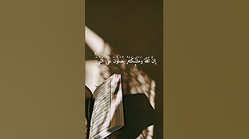 { إِنَّ ٱللَّهَ وَمَلَـٰۤىِٕكَتَهُۥ یُصَلُّونَ عَلَى ٱلنَّبِیِّۚ } || سورة الأحزاب || ميثم التمار