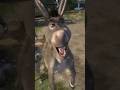 El MAYOR RETO de SHREK #shorts #shrek