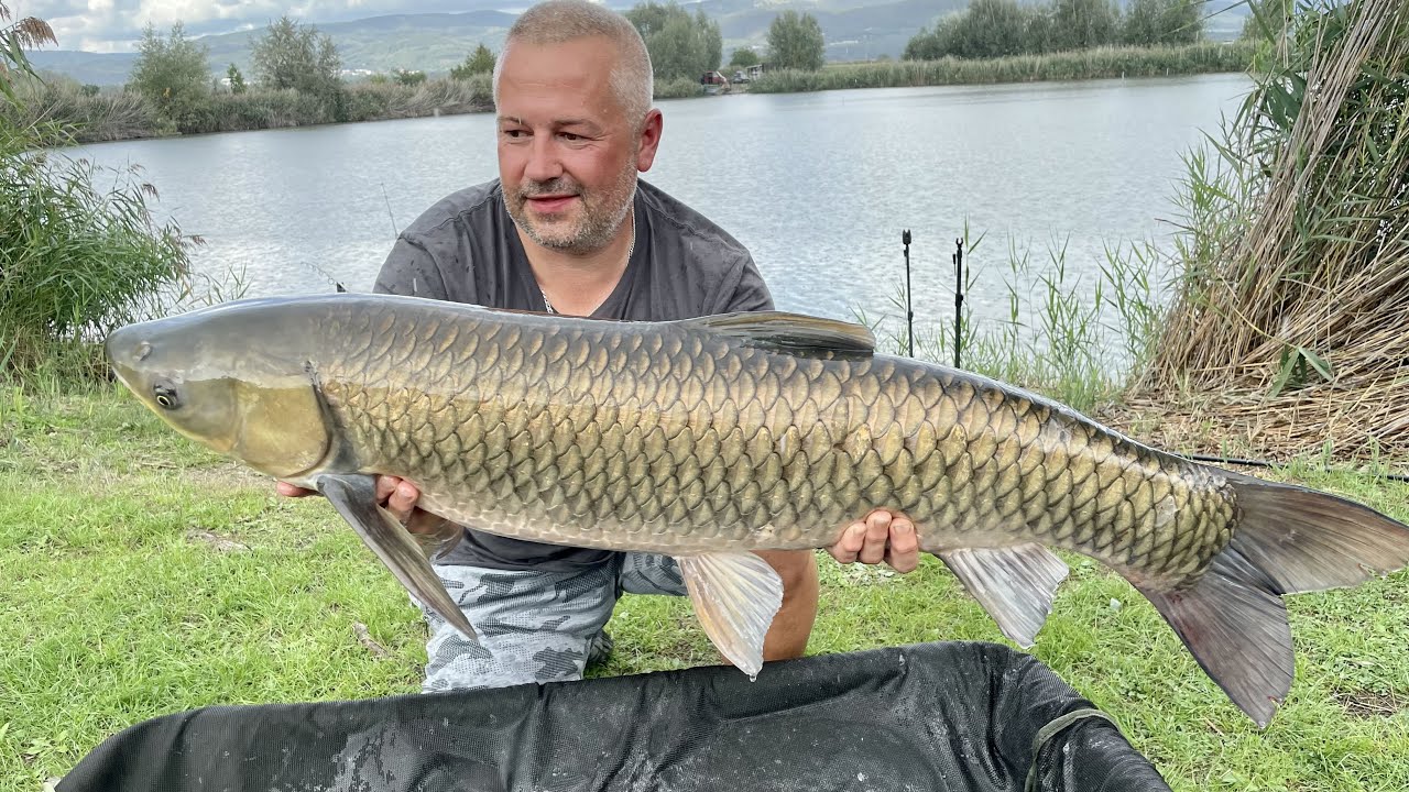 jezero-za-pilou-2022-youtube