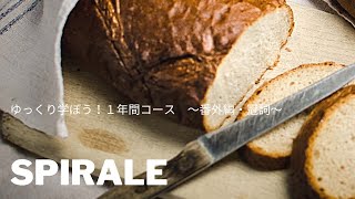 【番外編・冠詞】のんびり学ぼう！1年でSpiraleマスター講座
