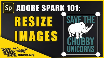 Adobe Spark How to Resize an Image