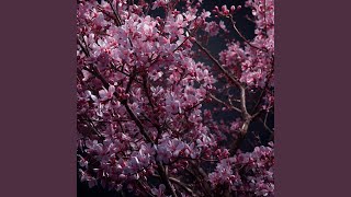 Merasa lebih sempurna