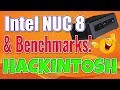 Intel NUC8 CATALINA HACKINTOSH | Complete Install Guide 2020