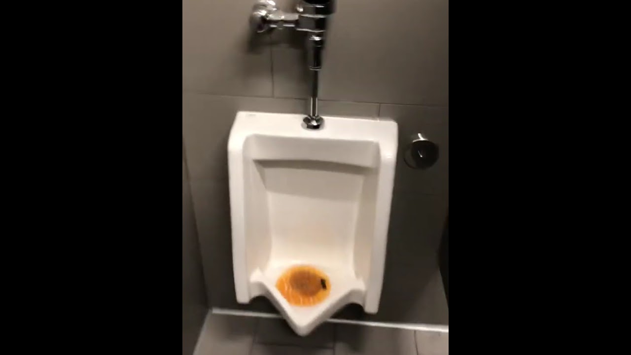 14 Aldi Unisex Restroom 2 YouTube