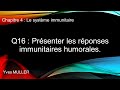 Chap 4 : Le système immunitaire - Q16 : Présenter les réponses immunitaires humorales.