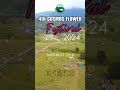 4th cosmos flower festival 2024 events NAAMAI ZHO