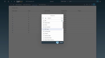 Web Client- Enterprise Search in SAP Business One 10 0, version for SAP HANA